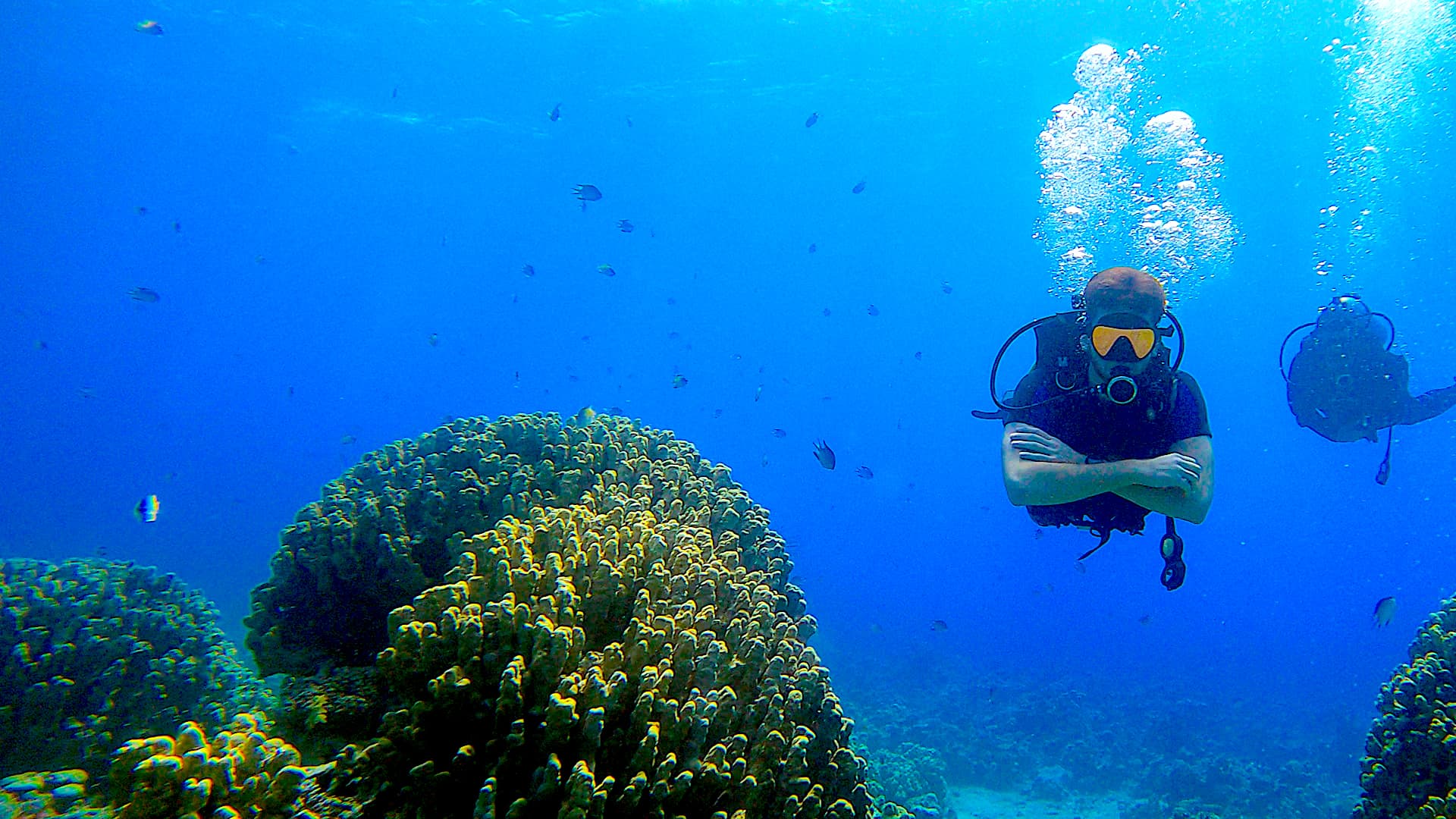 Scuba Dive, Snorkel or Cruise the Red Sea