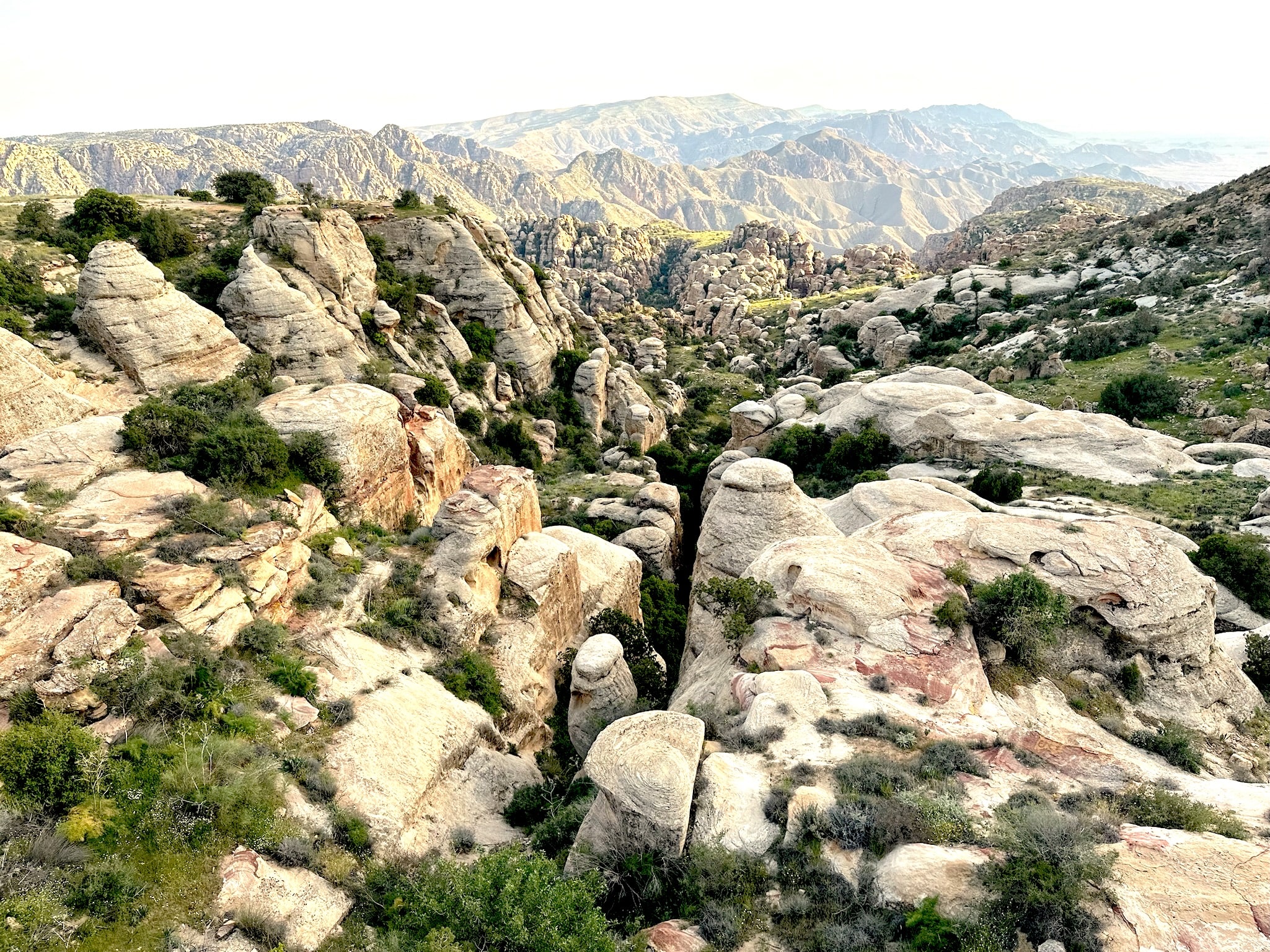 Hike in the Wild