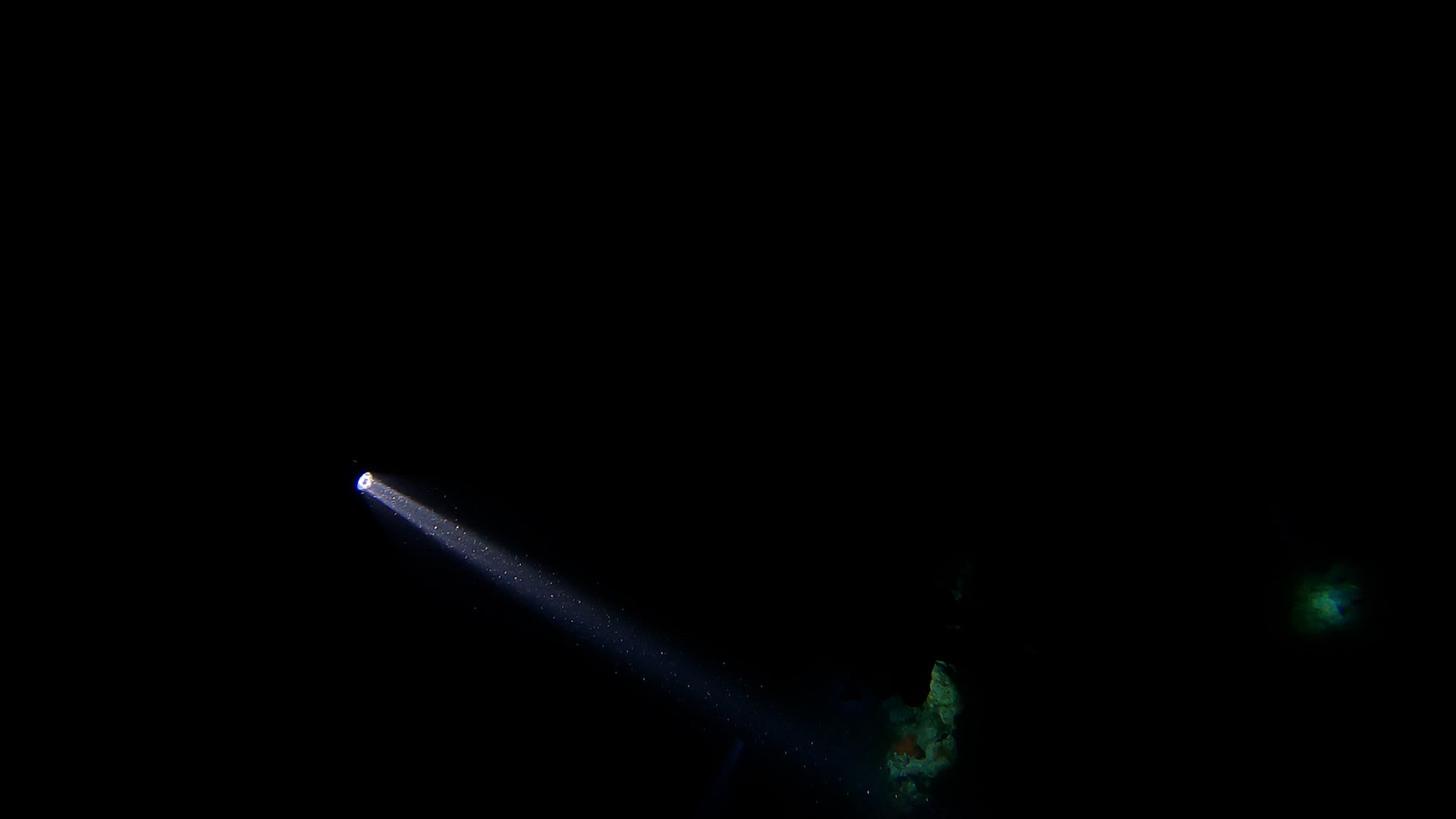 Night Dive