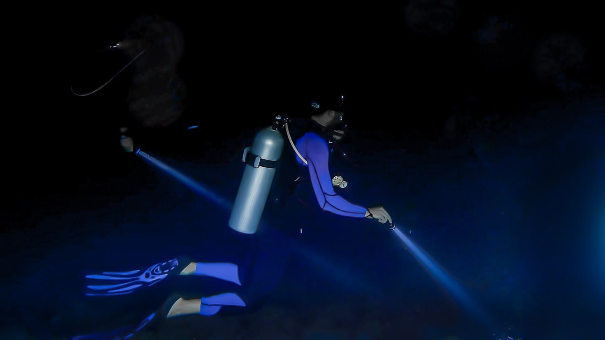 Night Dive