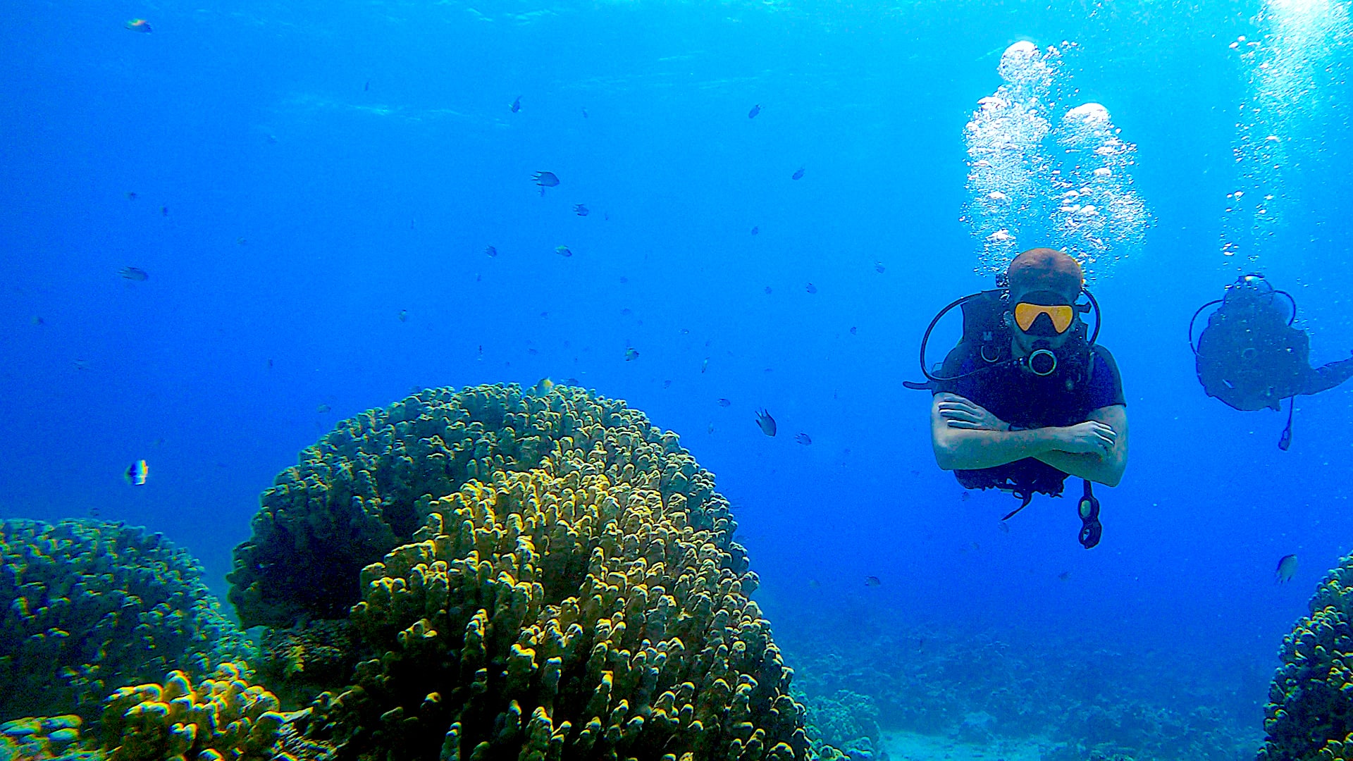 Scuba Dive, Snorkel or Cruise the Red Sea