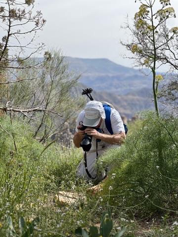 Hike in the Wild