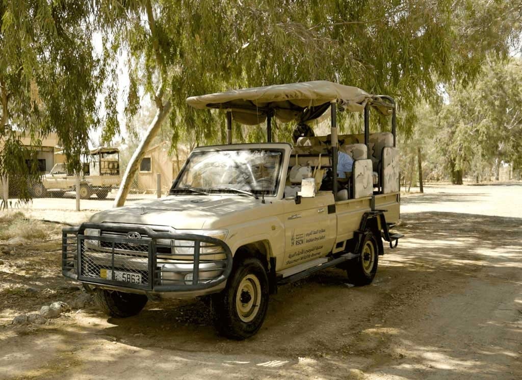 Arabian Oryx Photography Safari