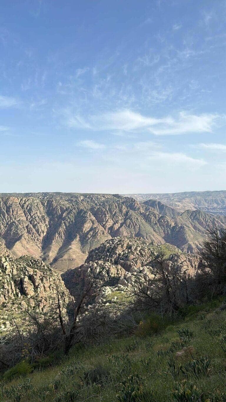 Hike in the Wild trip image 1