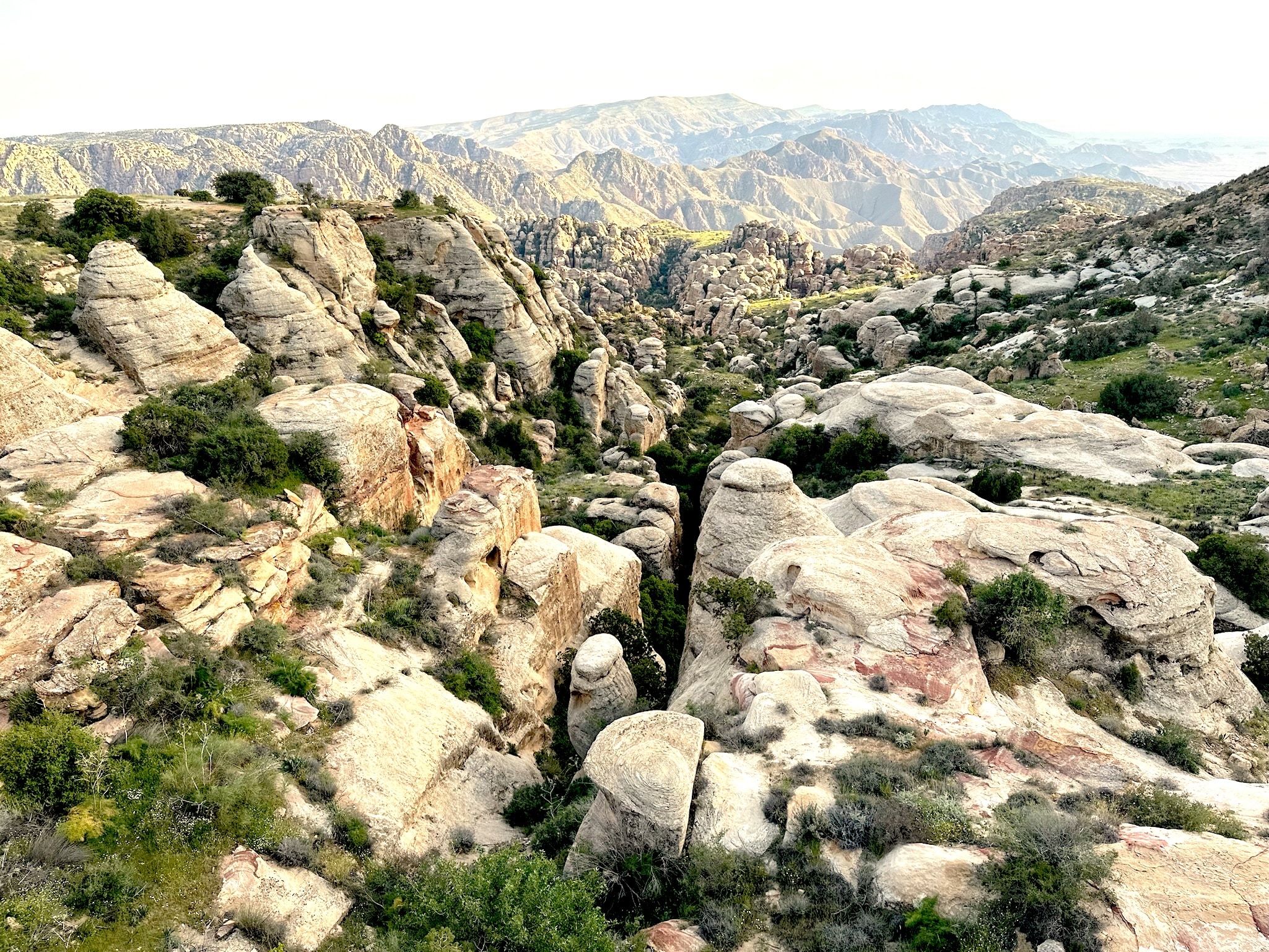Hike in the Wild trip image 1