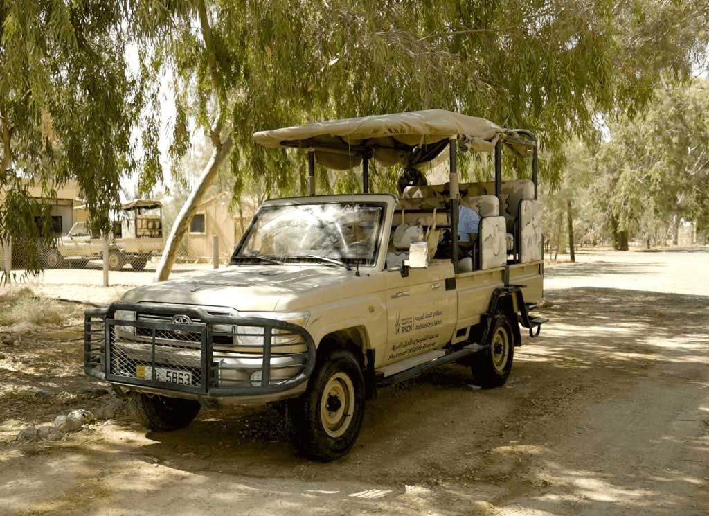 Arabian Oryx Photography Safari trip image 1